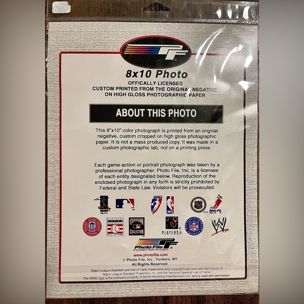 Boston Red Sox 2004 American League Champs Photo From Original Negative 8x10 - Picture 9 of 12